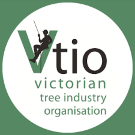 LOGO-VTIO