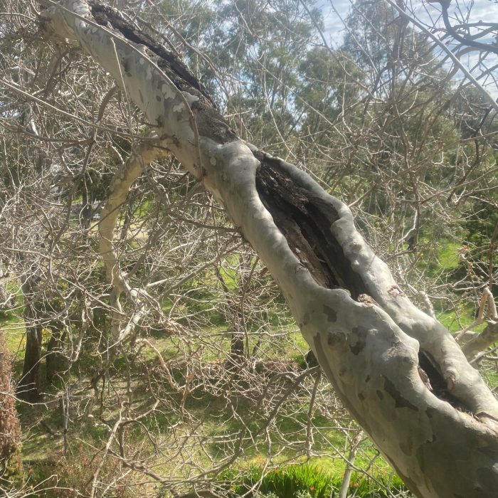 TUA-Services-Assessments-03