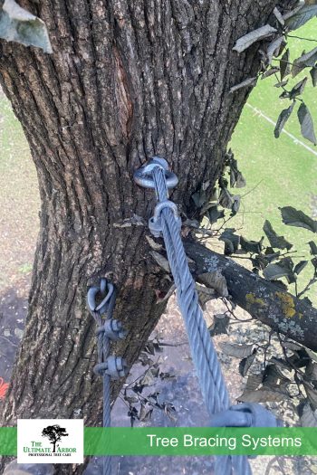 TUA-Services-Bracing-Web-01