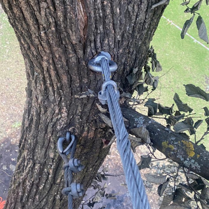 TUA-Services-Bracing-Web-01