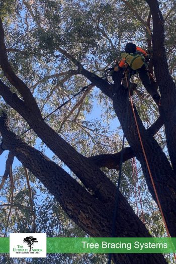 TUA-Services-Bracing-Web-02