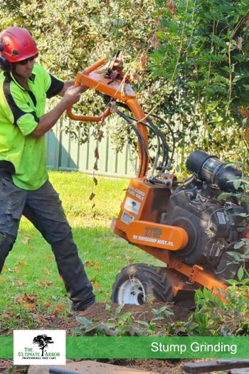 TUA-Services-Gringind-Web-02